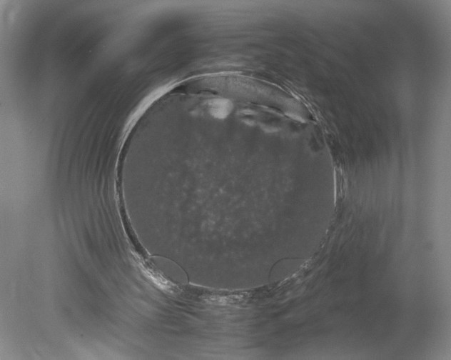 X0000080730147200701021130