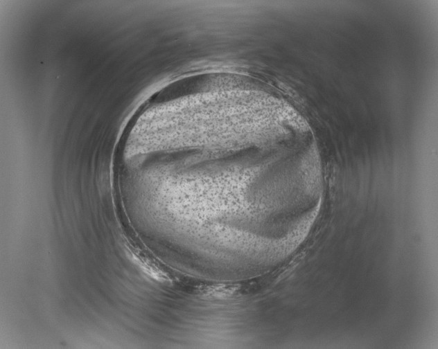 X0000080730148200701021130