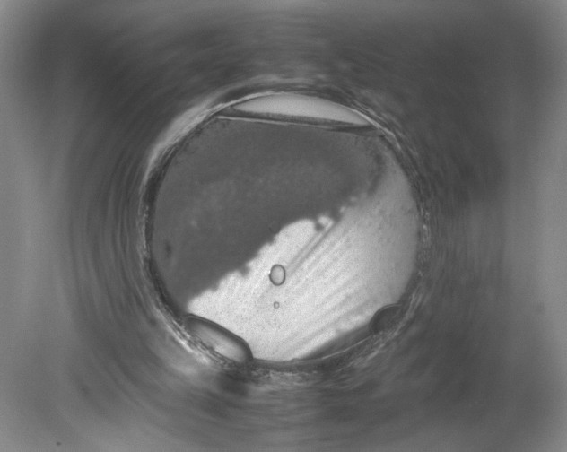 X0000080730149200701021130