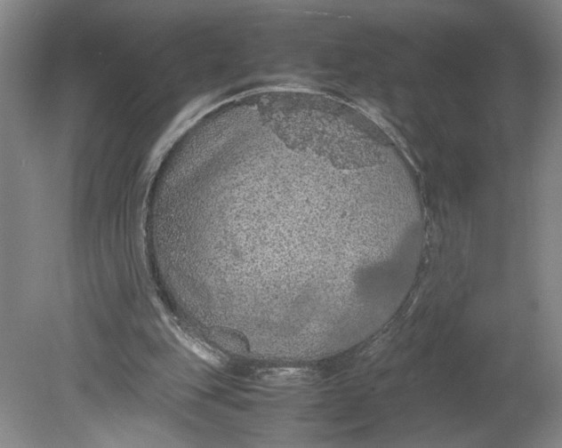 X0000080730151200701021130