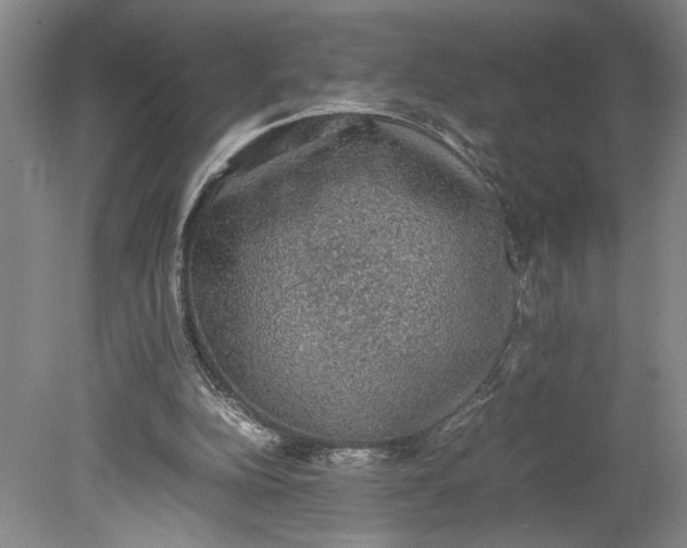 X0000080730152200701021130