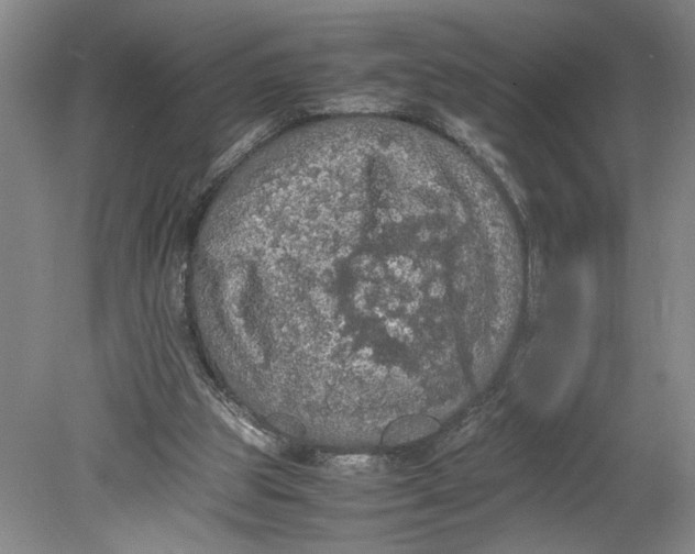 X0000080730153200701021130