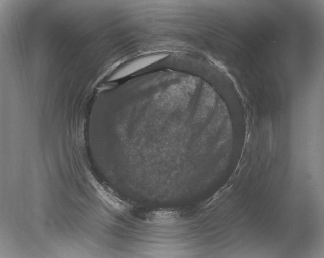 X0000080730154200701021130