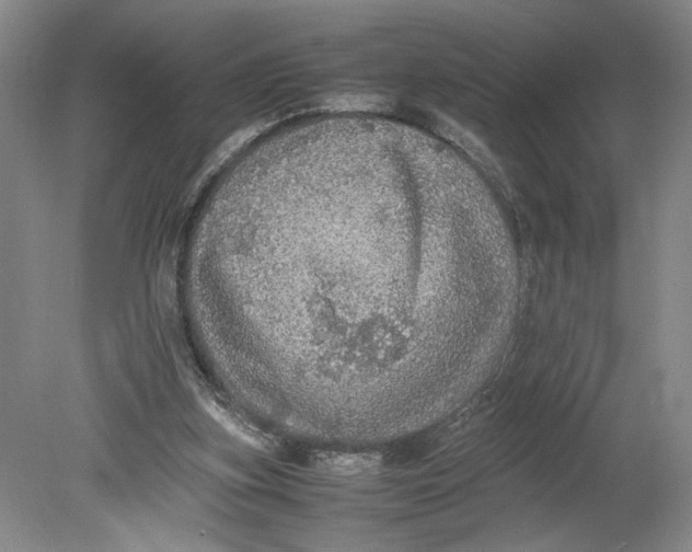 X0000080730155200701021130