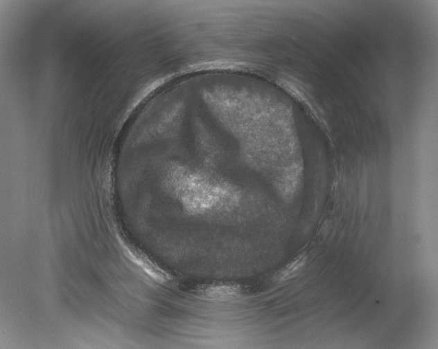 X0000080730156200701021130