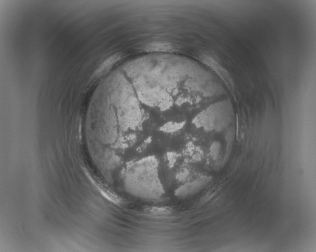 X0000080730157200701021130