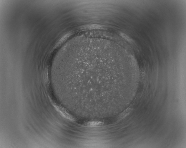 X0000080730158200701021130