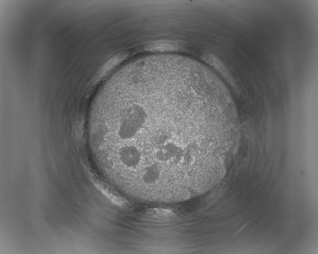 X0000080730159200701021130