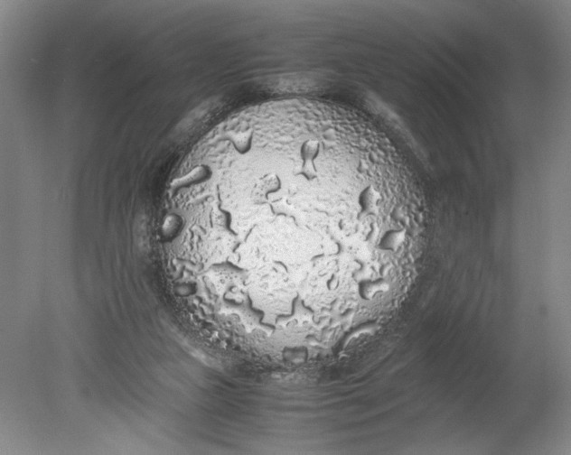 X0000080730161200701021130