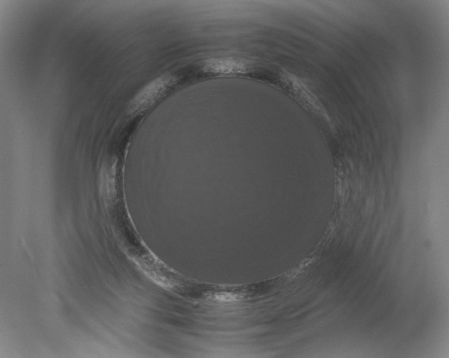 X0000080730163200701021130