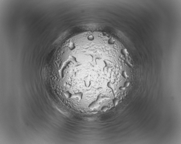 X0000080730165200701021130