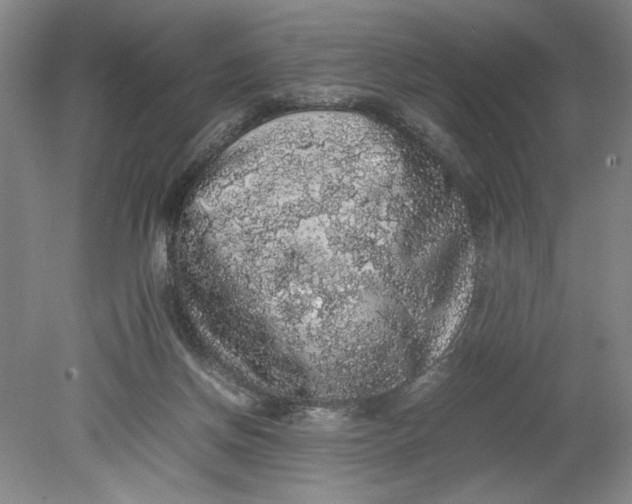 X0000080730166200701021130