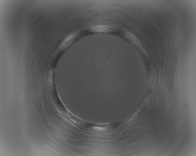 X0000080730167200701021130