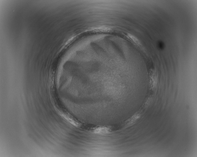 X0000080730168200701021130