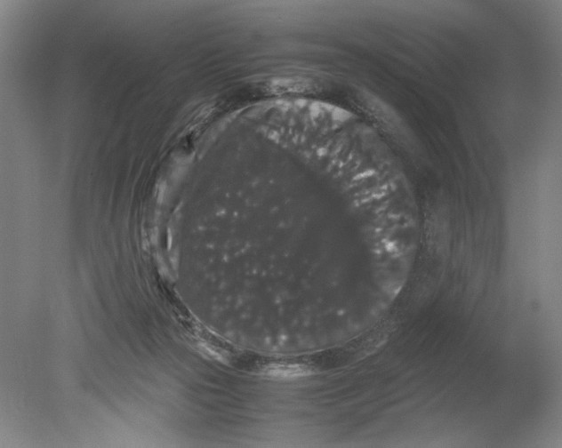 X0000080730169200701021130