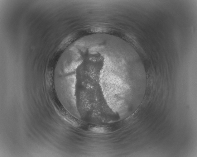 X0000080730171200701021130