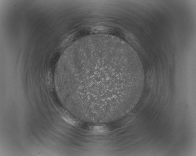 X0000080730173200701021130