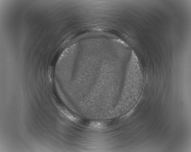 X0000080730174200701021130