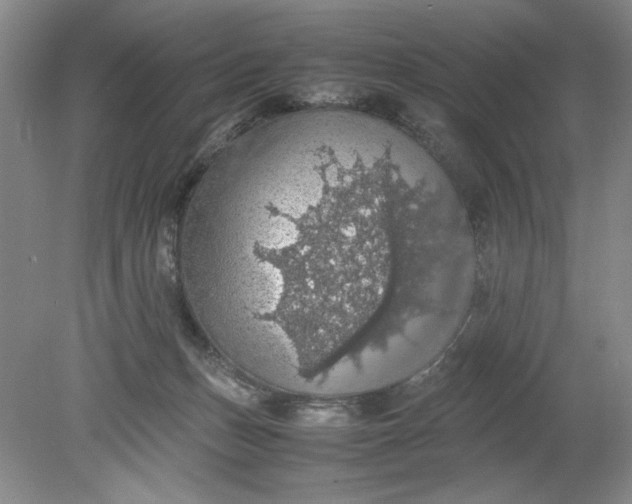 X0000080730175200701021130