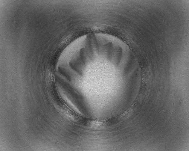 X0000080730176200701021130