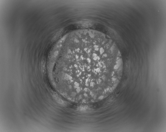 X0000080730177200701021130