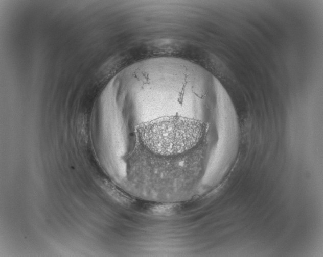 X0000080730178200701021130