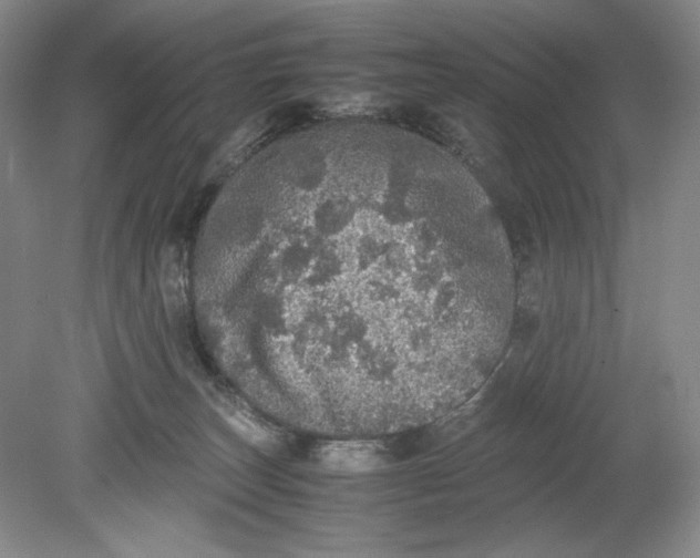 X0000080730179200701021130