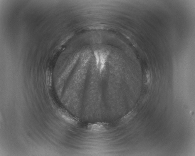 X0000080730180200701021130