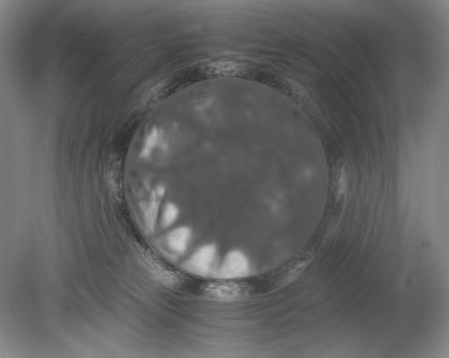 X0000080730181200701021130