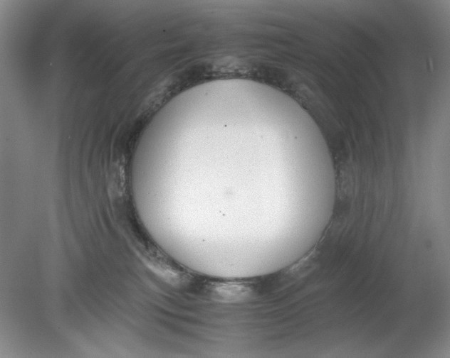 X0000080730183200701021130