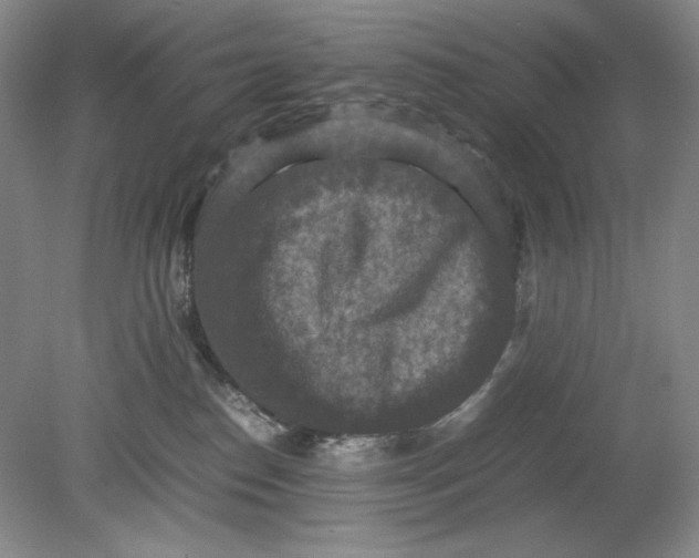 X0000080730186200701021130