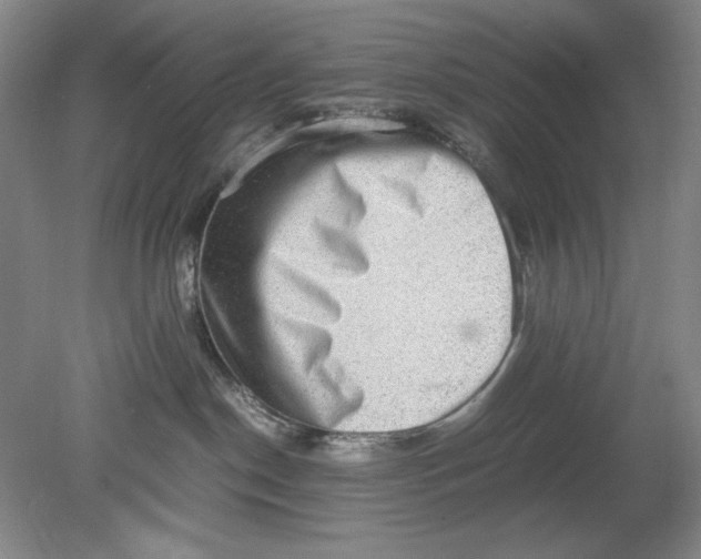 X0000080730190200701021130