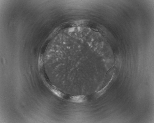 X0000080730191200701021130