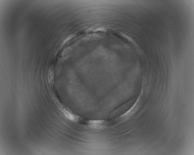 X0000080730192200701021130