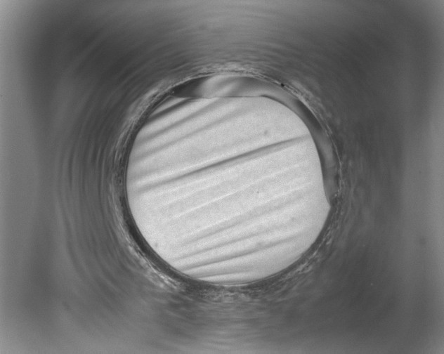 X0000080730193200701021130