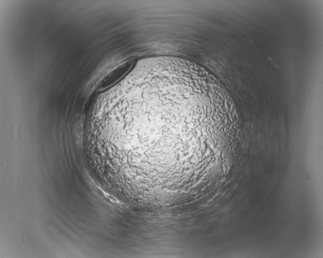 X0000080730194200701021129