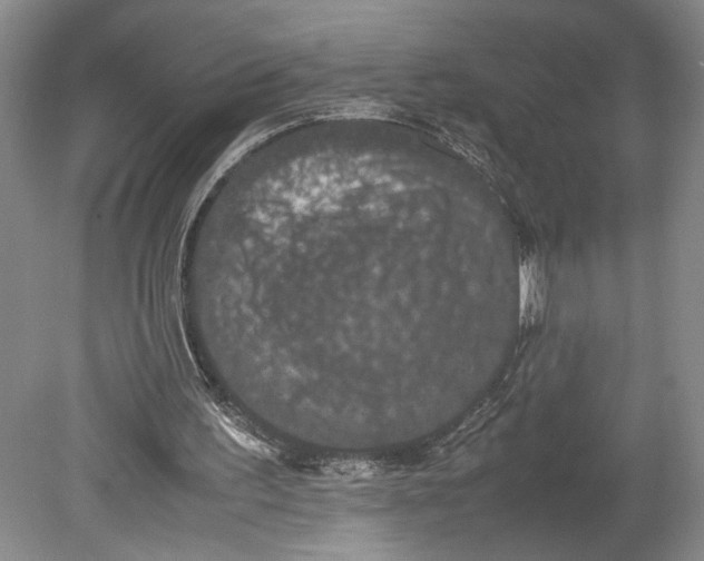 X0000080730195200701021129