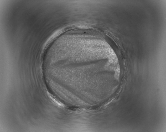 X0000080730197200701021129