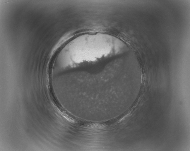 X0000080730198200701021129