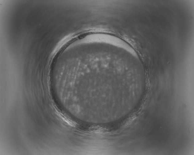 X0000080730199200701021129