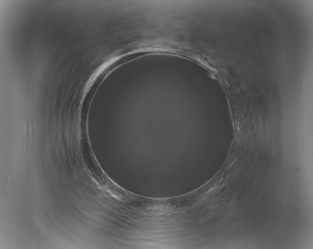 X0000080730200200701021129