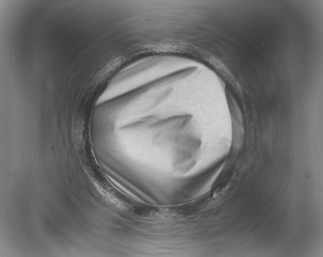 X0000080730201200701021129