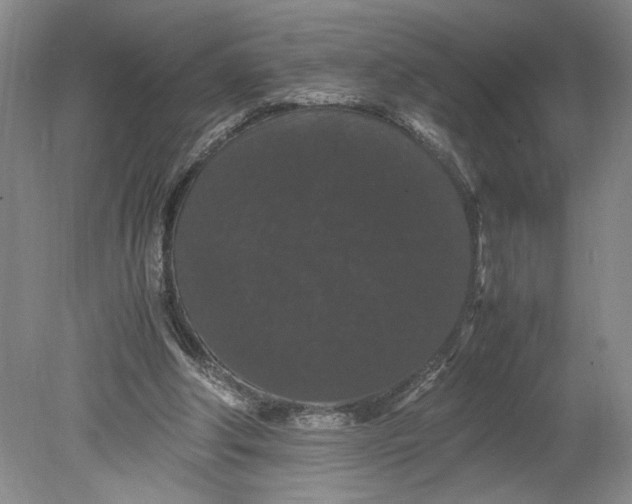 X0000080730202200701021129