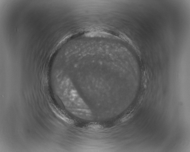 X0000080730203200701021129