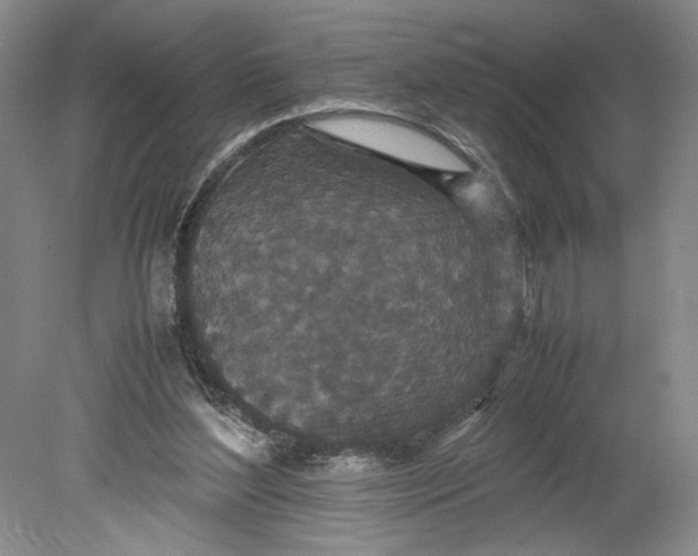 X0000080730204200701021129