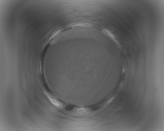 X0000080730205200701021129