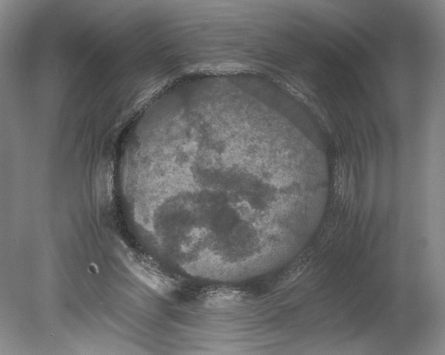 X0000080730206200701021129