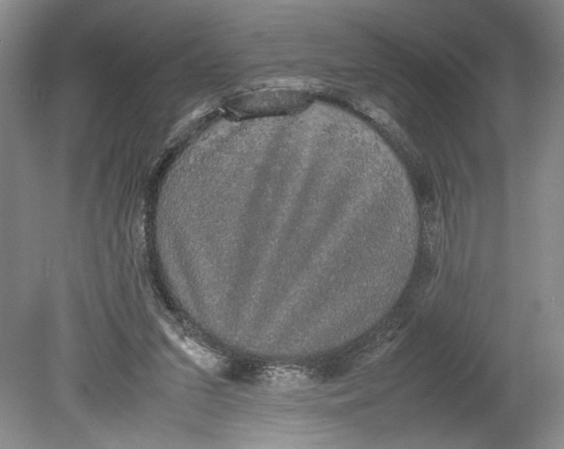 X0000080730207200701021129