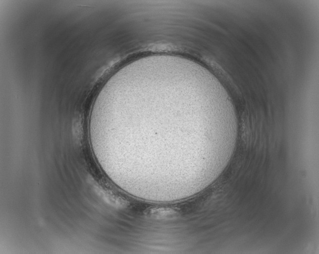 X0000080730208200701021129