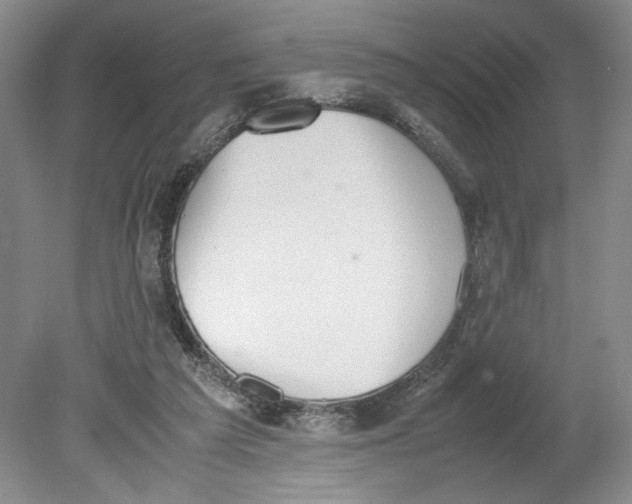 X0000080730209200701021129